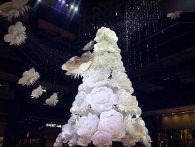 2016-11-28-11-56-21