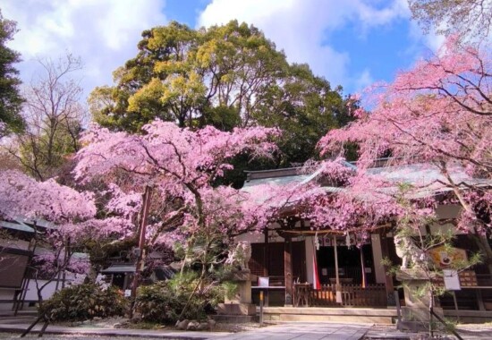 金鳥山にあるカタカムナの聖地 保久良神社
