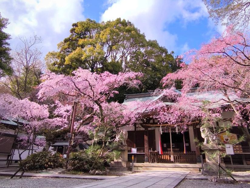 金鳥山にあるカタカムナの聖地 保久良神社